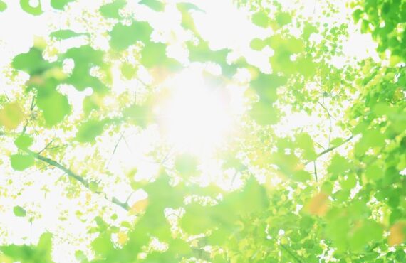 男が上がる！！メンズシェービングメニュー